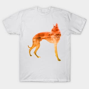 Orange & Yellow Waves Whippet T-Shirt